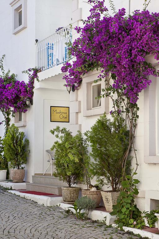 Ayvalı Moshinos Hotel מראה חיצוני תמונה